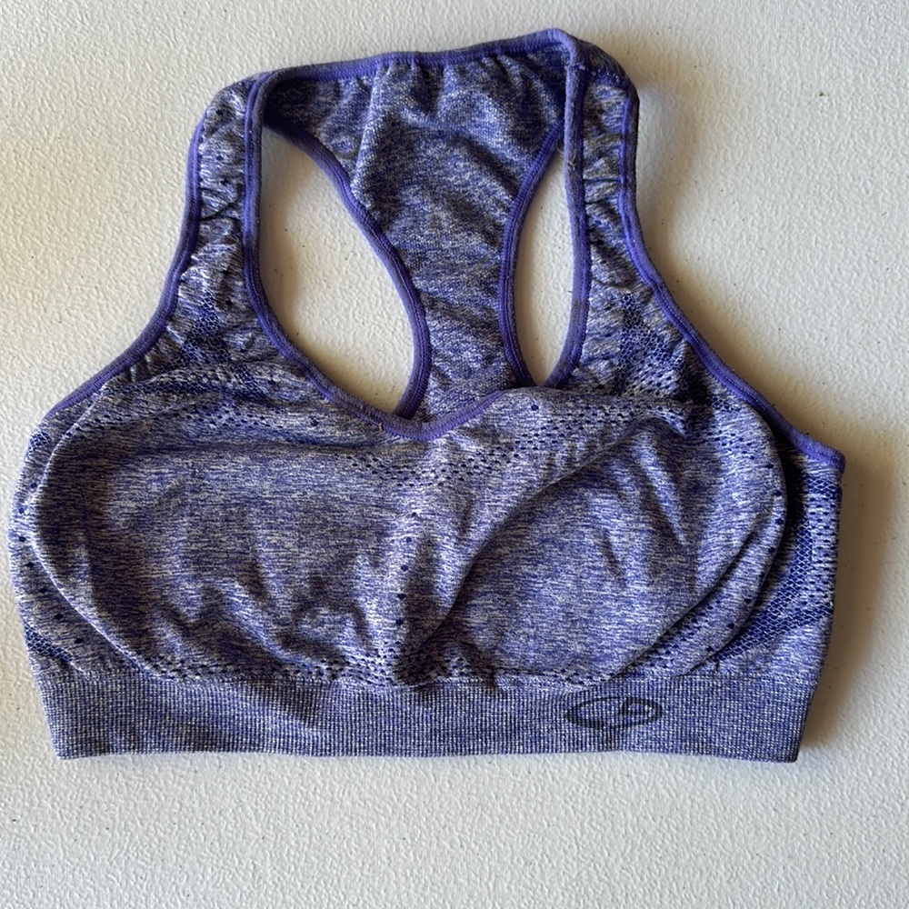Champion Sports Bra
